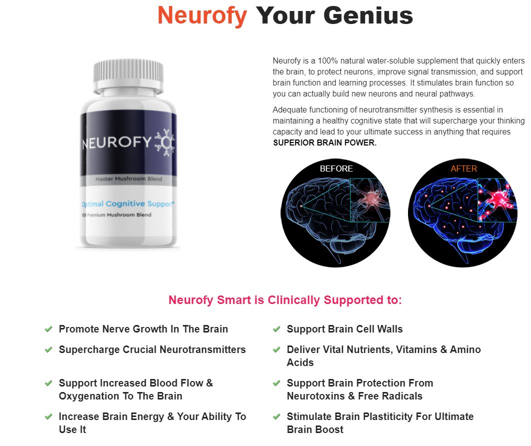 Neurofy
