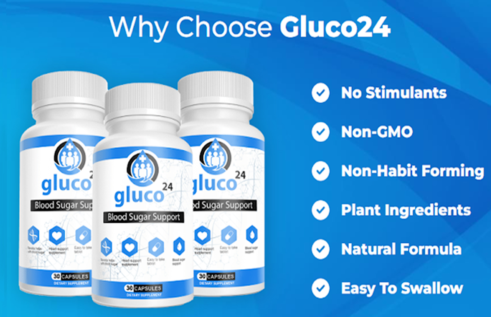 Gluco24 Blood Sugar Support